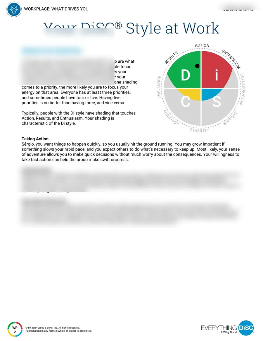 Relatório Everything DiSC — trabalho